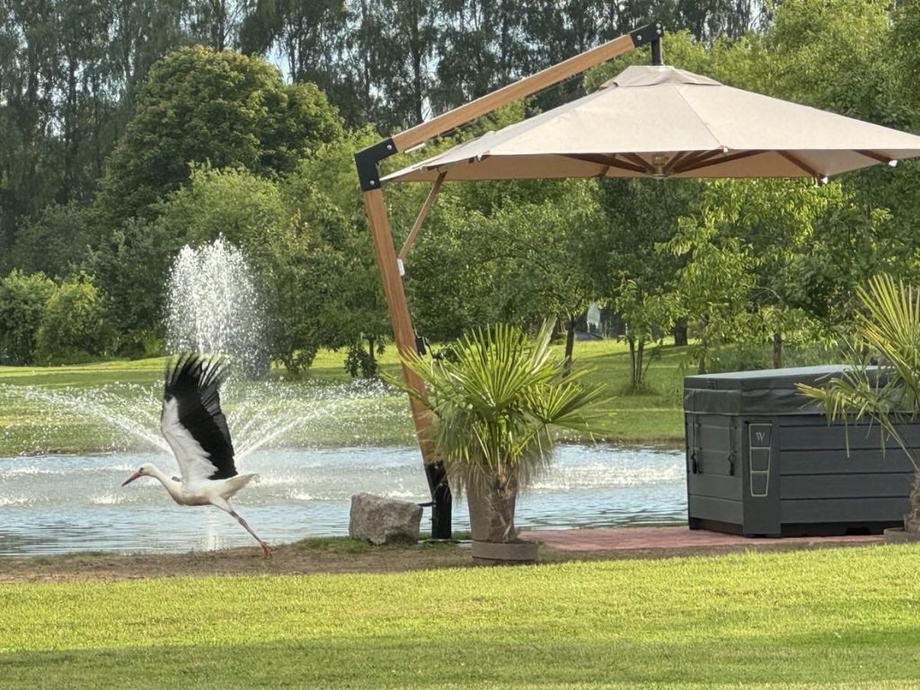 päikesevari ultra sa aias